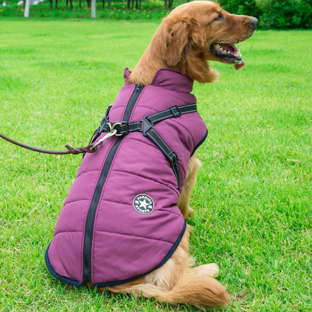 ( Black Friday Sale-40%OFF ) Pawbibi Sport - Waterproof Winter Jacket with Built-in Harness