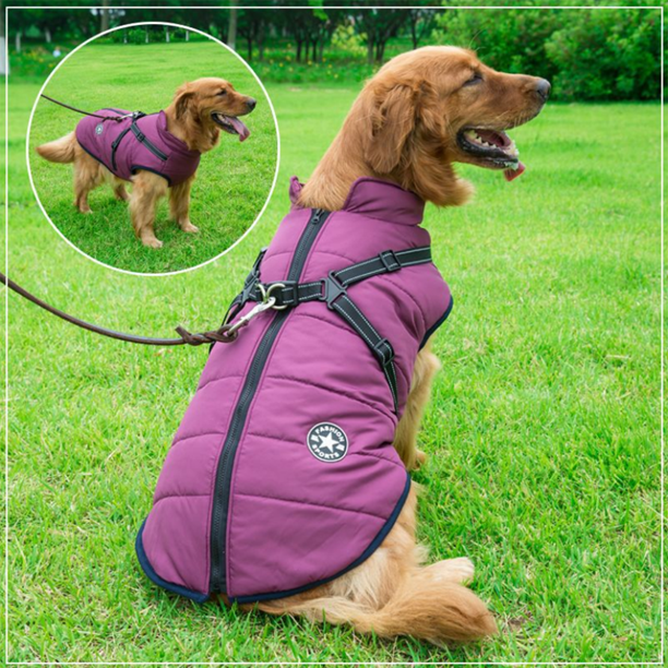 ( Black Friday Sale-40%OFF ) Pawbibi Sport - Waterproof Winter Jacket with Built-in Harness