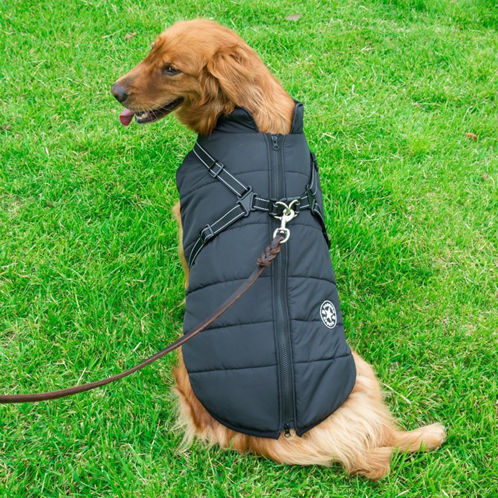 ( Black Friday Sale-40%OFF ) Pawbibi Sport - Waterproof Winter Jacket with Built-in Harness