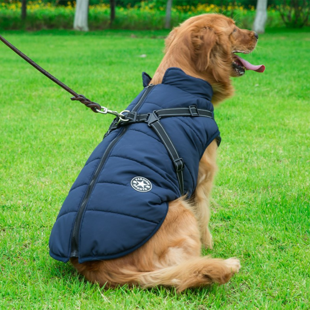 ( Black Friday Sale-40%OFF ) Pawbibi Sport - Waterproof Winter Jacket with Built-in Harness