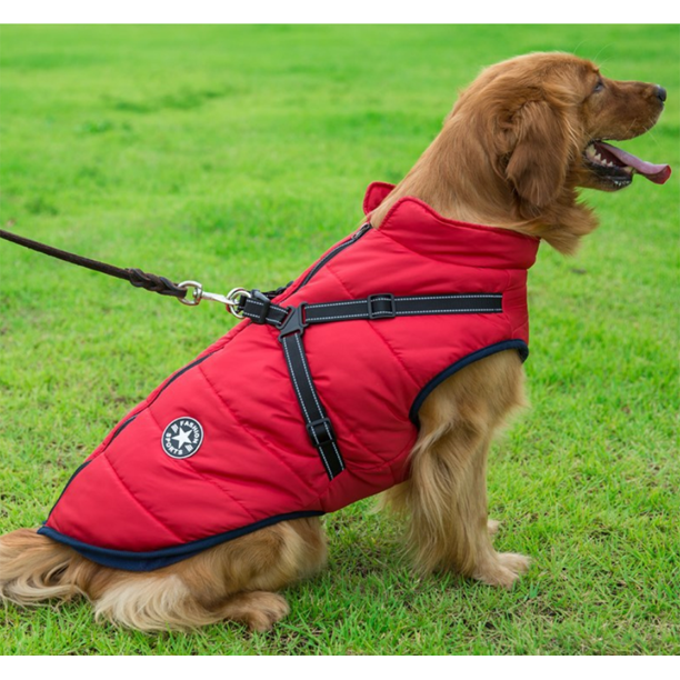 ( Black Friday Sale-40%OFF ) Pawbibi Sport - Waterproof Winter Jacket with Built-in Harness