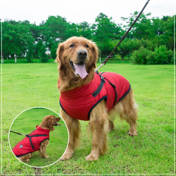 ( Black Friday Sale-40%OFF ) Pawbibi Sport - Waterproof Winter Jacket with Built-in Harness