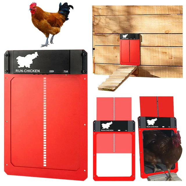 ( Early Father's Day Pre-sale - 30% OFF) Automatic Chicken Coop Door