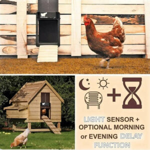 ( Early Father's Day Pre-sale - 30% OFF) Automatic Chicken Coop Door