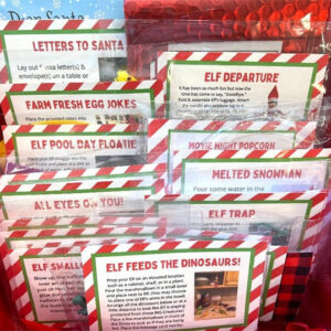 2022 Elf Kit 24 Days Of Christmas