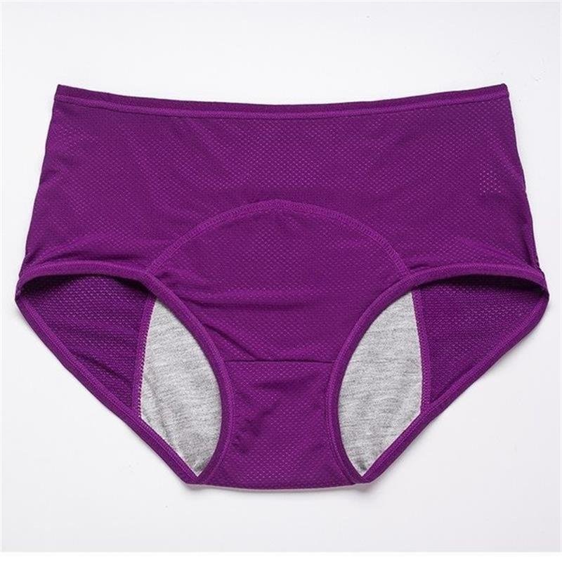 2022 NEW UPGRADE HIGH WAIST LEAK PROOF PANTIES