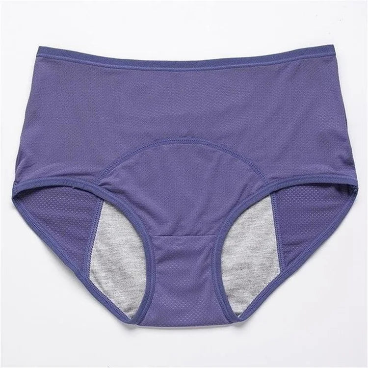 2022 NEW UPGRADE HIGH WAIST LEAK PROOF PANTIES