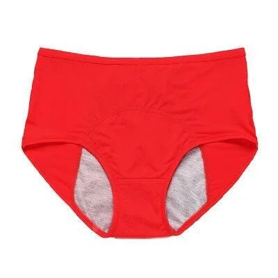 2022 NEW UPGRADE HIGH WAIST LEAK PROOF PANTIES