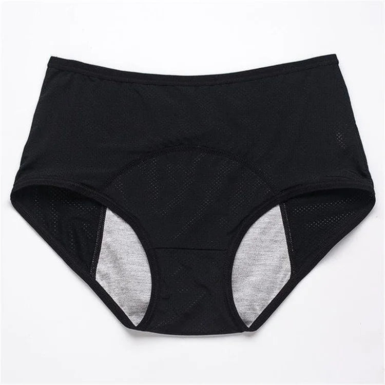 2022 NEW UPGRADE HIGH WAIST LEAK PROOF PANTIES