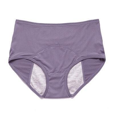 2022 NEW UPGRADE HIGH WAIST LEAK PROOF PANTIES