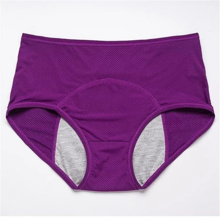 2022 NEW UPGRADE HIGH WAIST LEAK PROOF PANTIES