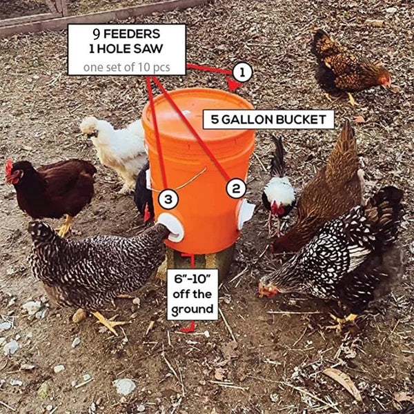 (2022 NEW-30% OFF)DIY Chicken Feeder