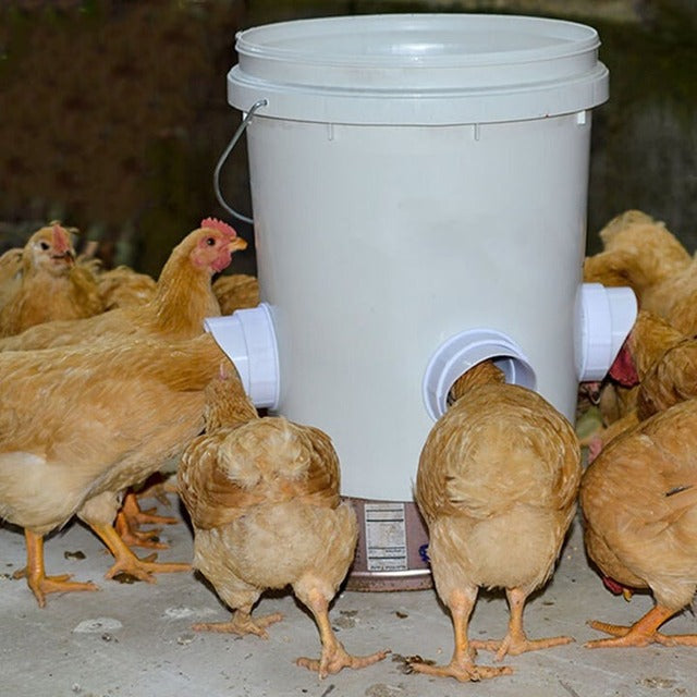 (2022 NEW-30% OFF)DIY Chicken Feeder