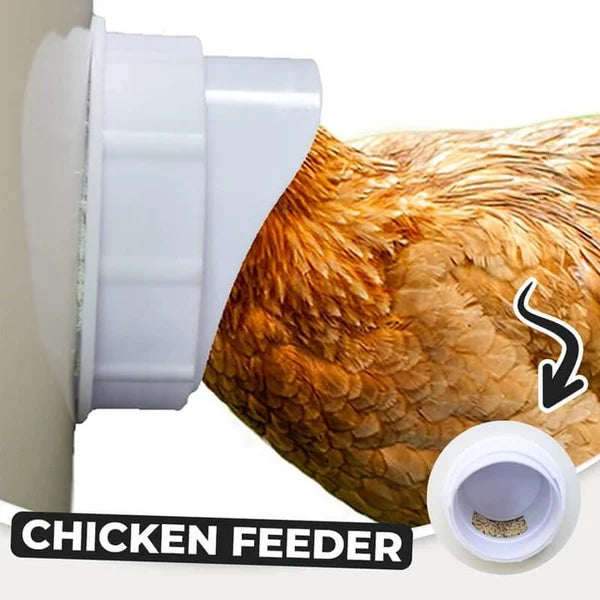 (2022 NEW-30% OFF)DIY Chicken Feeder