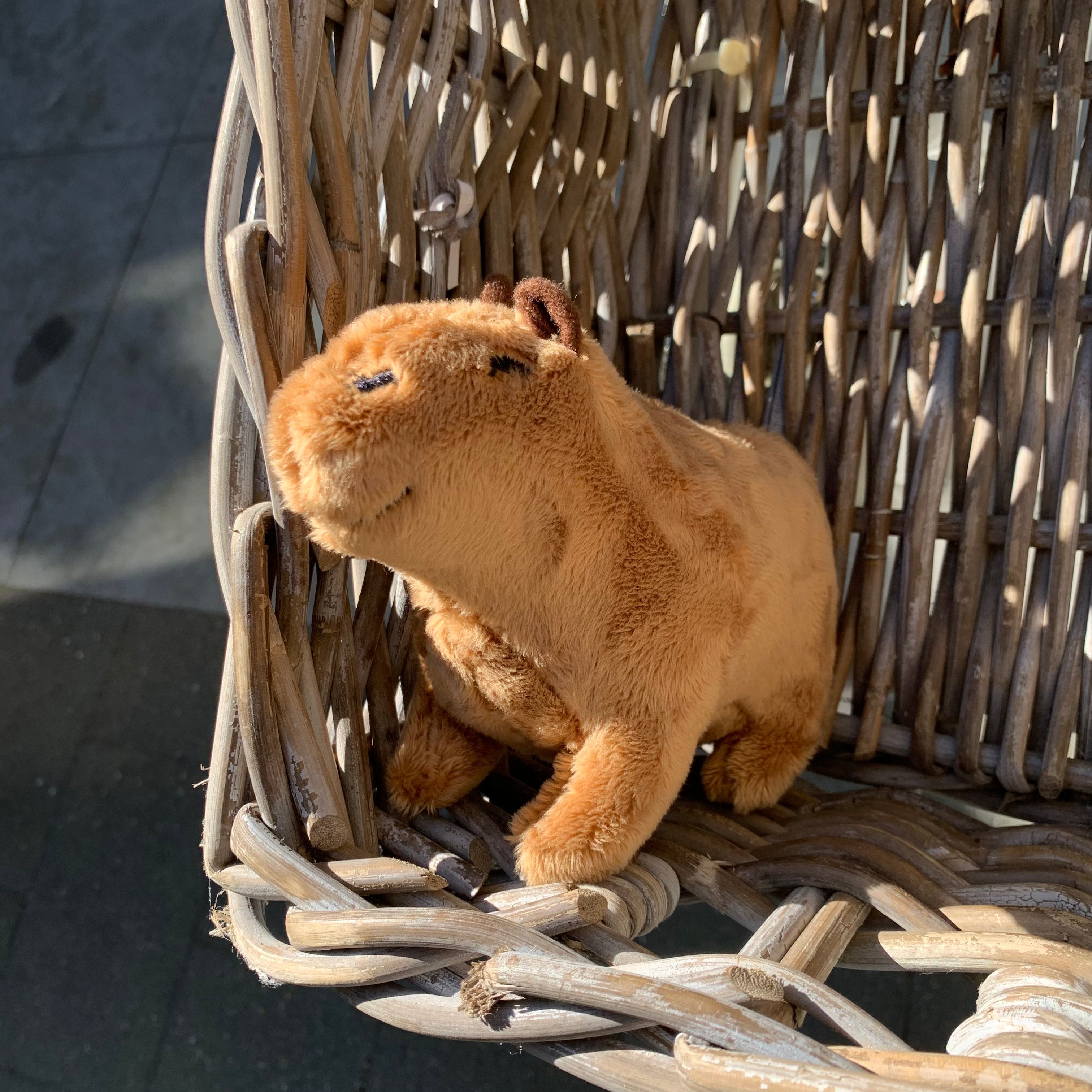 CapyToy– Capybara Plushie