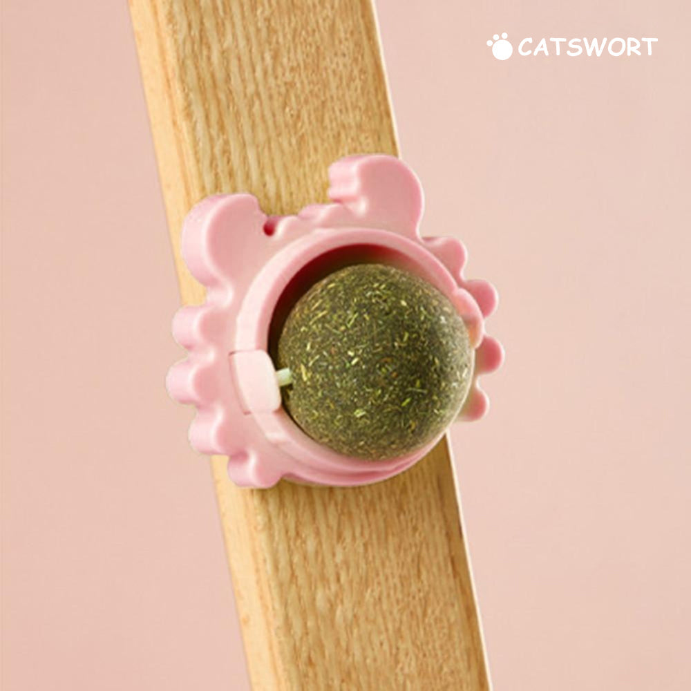 Catswort™ Catnip Ball