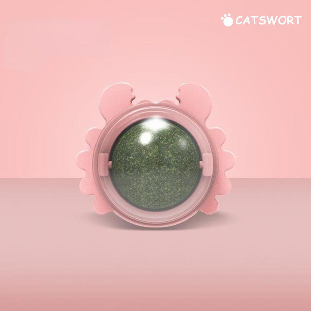 Catswort™ Catnip Ball