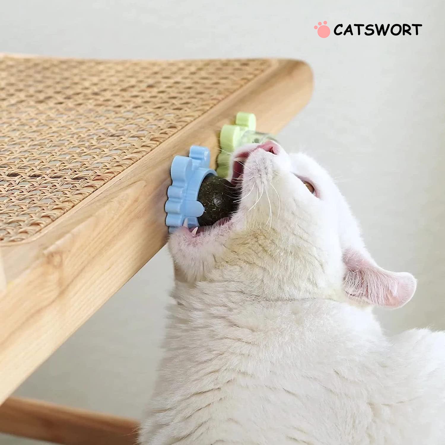 Catswort™ Catnip Ball