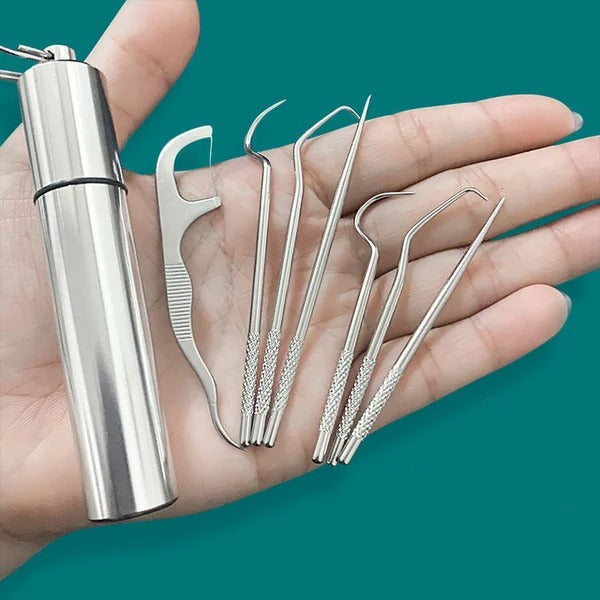 CHRISTMAS PRE SALE - Stainless Steel Toothpick Set 7pcs - BUY 2 GET 1 FREE