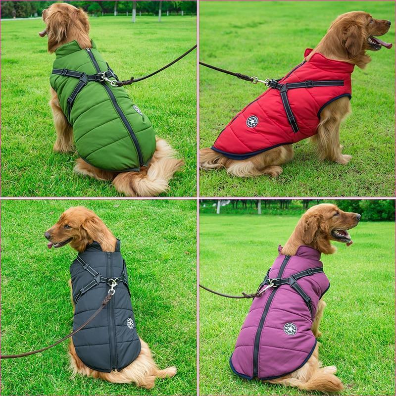 Cozy Waterproof Dog Jacket