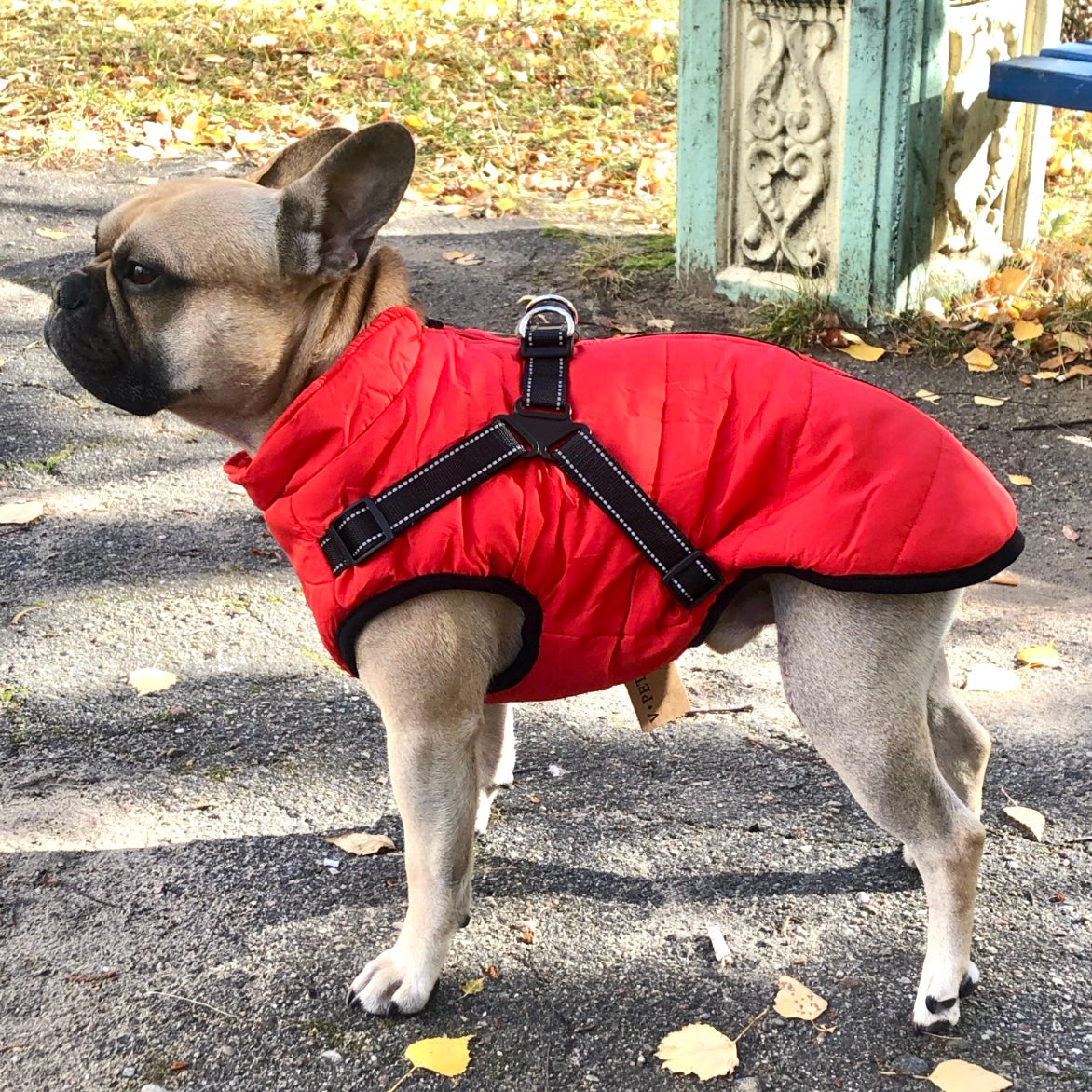 DoggyKings 3 in 1 Jacket