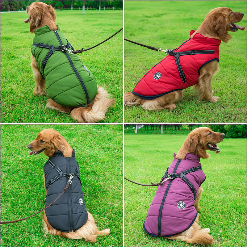 DoggyKings 3 in 1 Jacket