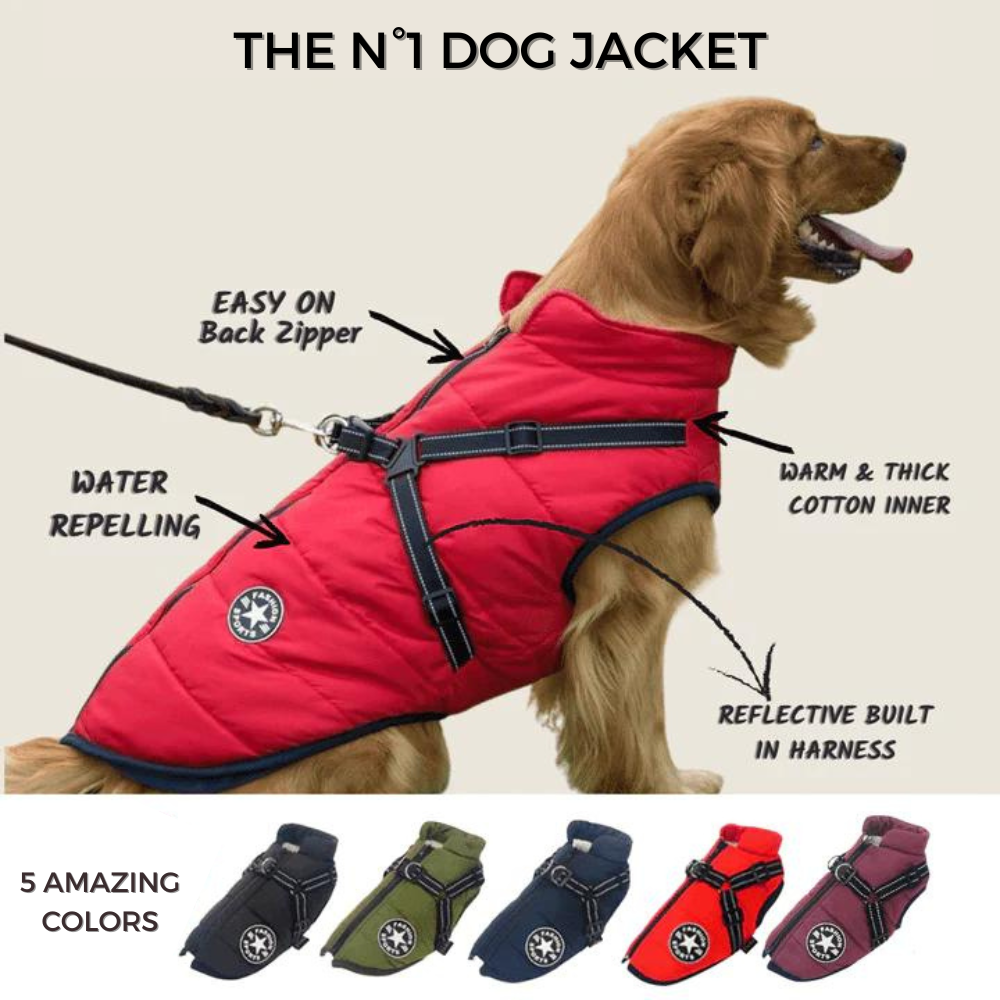 DoggyKings 3 in 1 Jacket