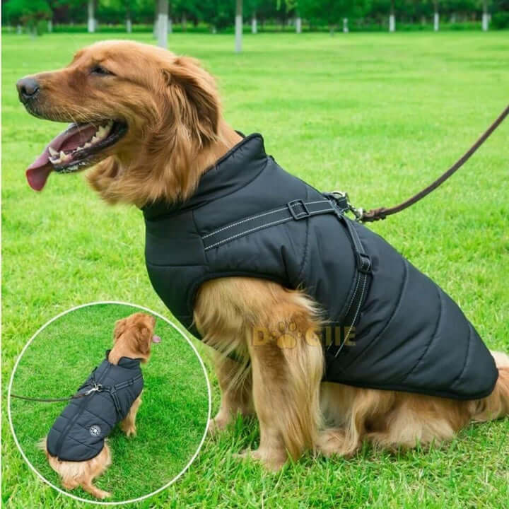 Dogiie Waterproof Winter Jacket with Built-in Harness