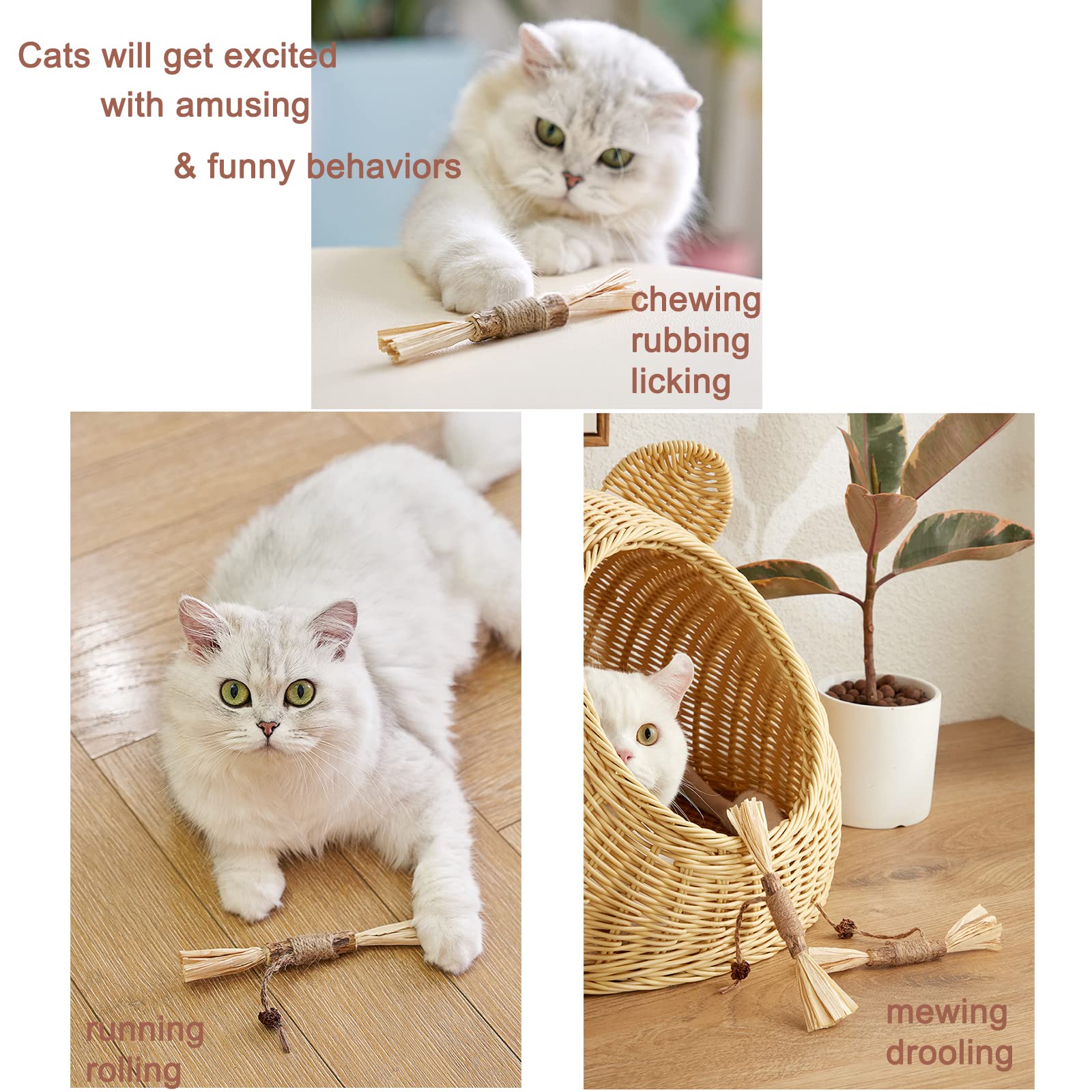 Dresov EARLY CHRISTMAS SALE - 48% OFF-Silvervine Sticks for Cats-BUY 5 GET 5 FREE