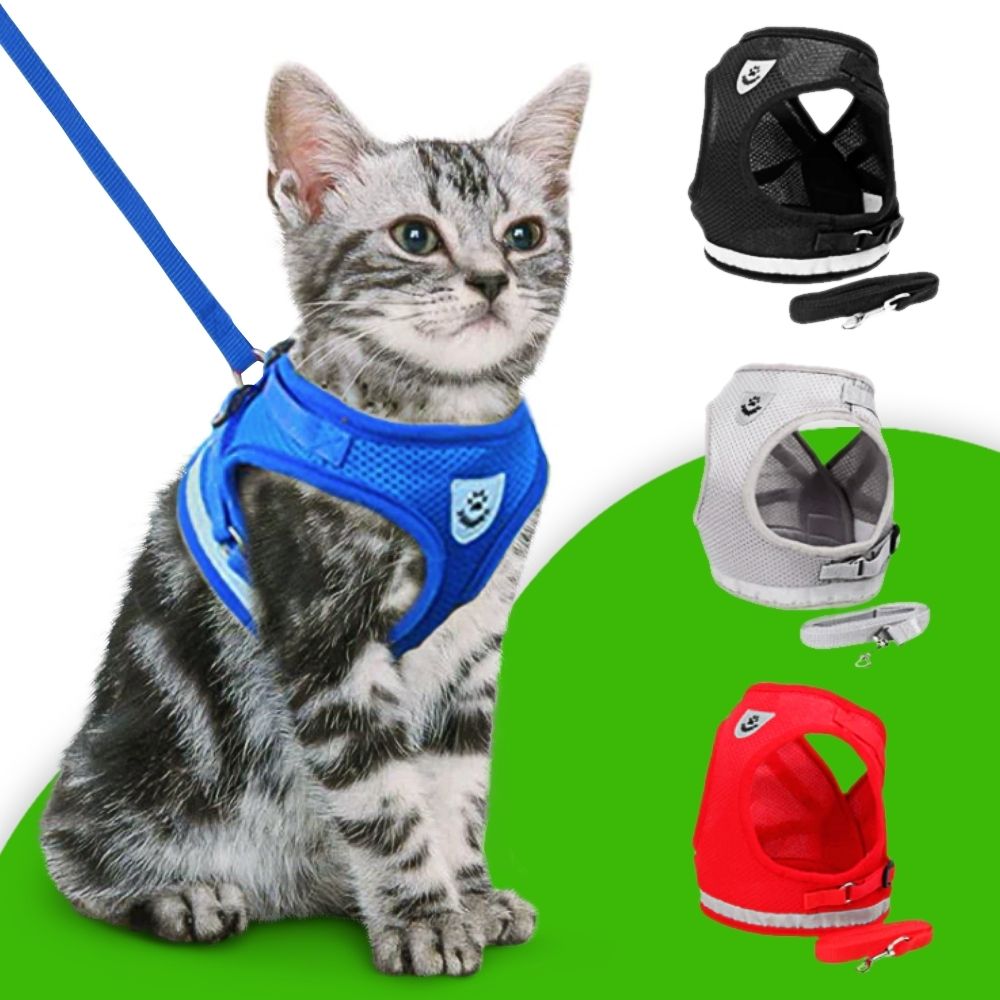 EasyWalk Cat Harness and Leash Set