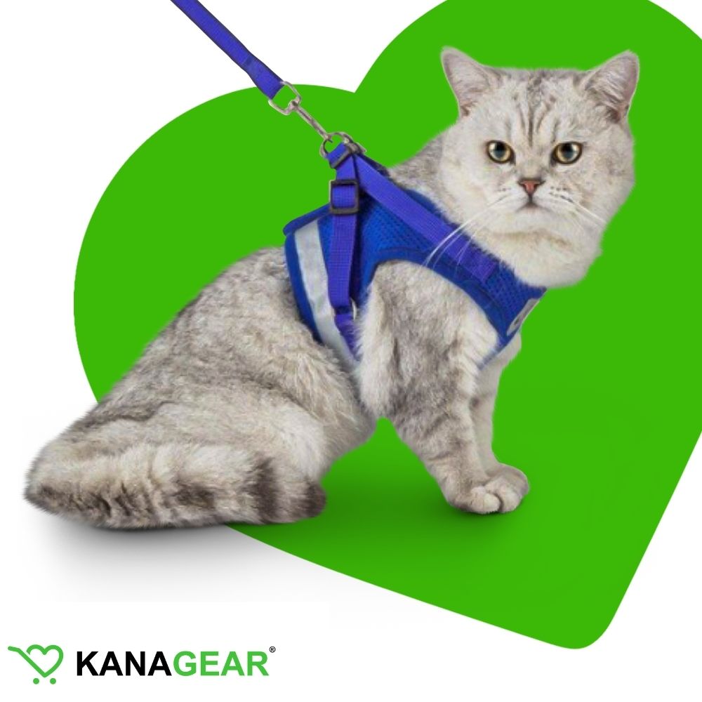 EasyWalk Cat Harness and Leash Set