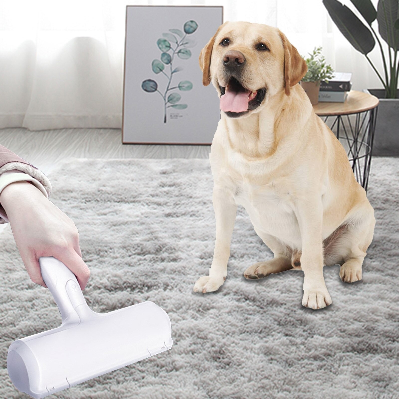 Eco-Friendly Pets Hair Remover - 50% Off