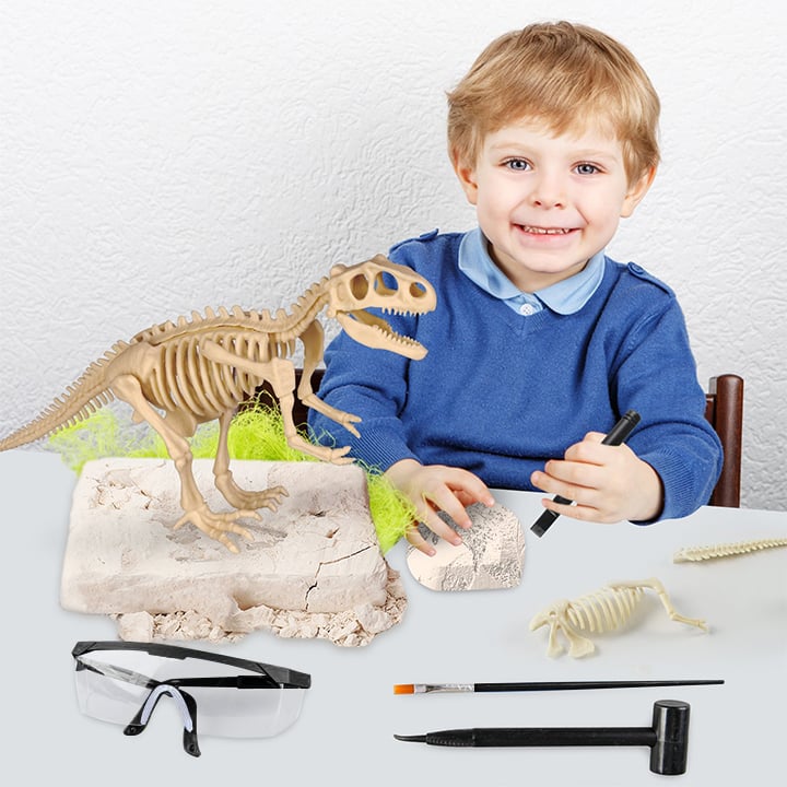 Great Educational Toy for Kids - 2022 New Arrival Dinosaur Fossil Digging Kit