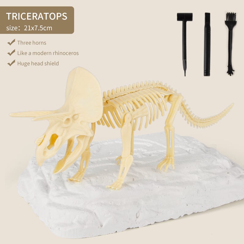 Great Educational Toy for Kids - 2022 New Arrival Dinosaur Fossil Digging Kit