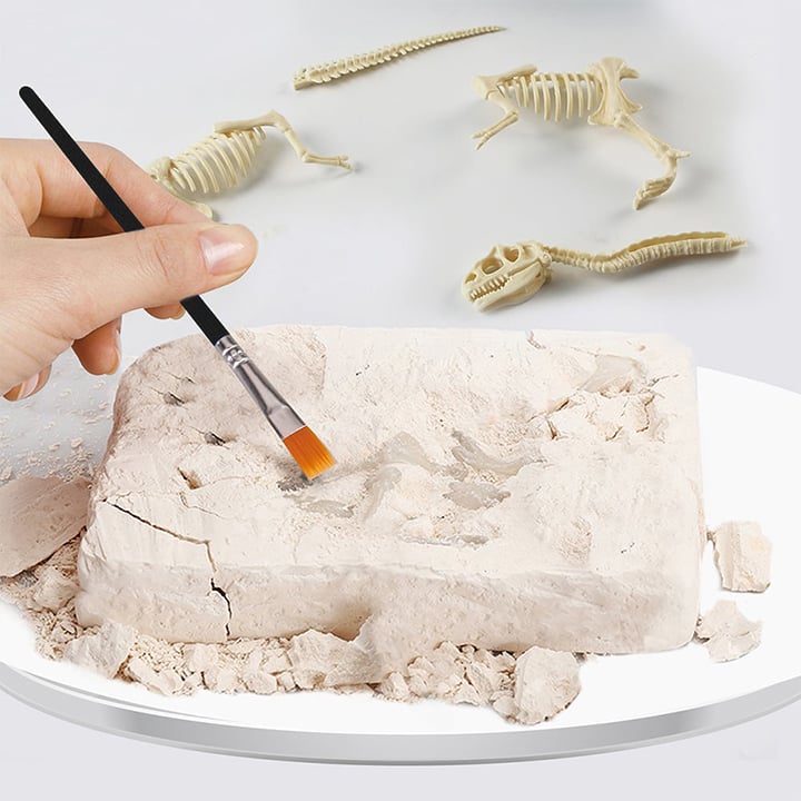 Great Educational Toy for Kids - 2022 New Arrival Dinosaur Fossil Digging Kit