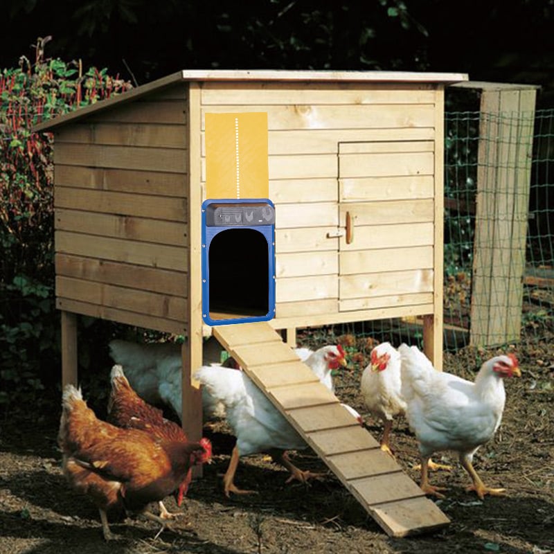 Implicitm (Flash Sale- 40% OFF)-Automatic Chicken House Door