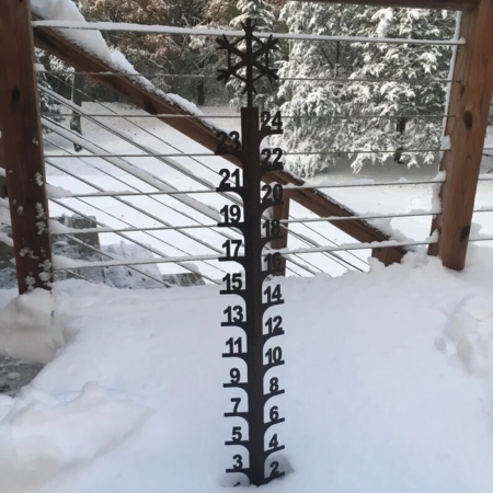 Iron Art Snow Gauge