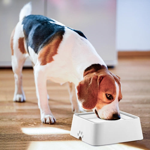 Pawpro Spill Free Water Bowl