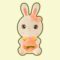 Peach Bunny Rabbit Plush Toy