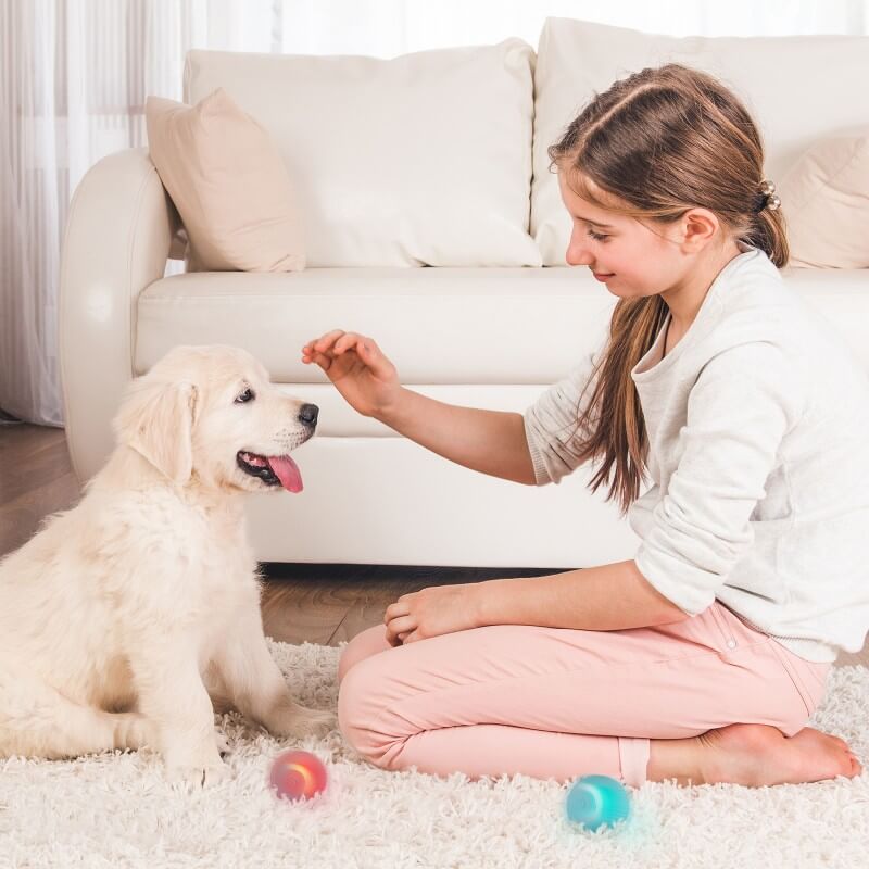 PlayPup Self-Moving Ball