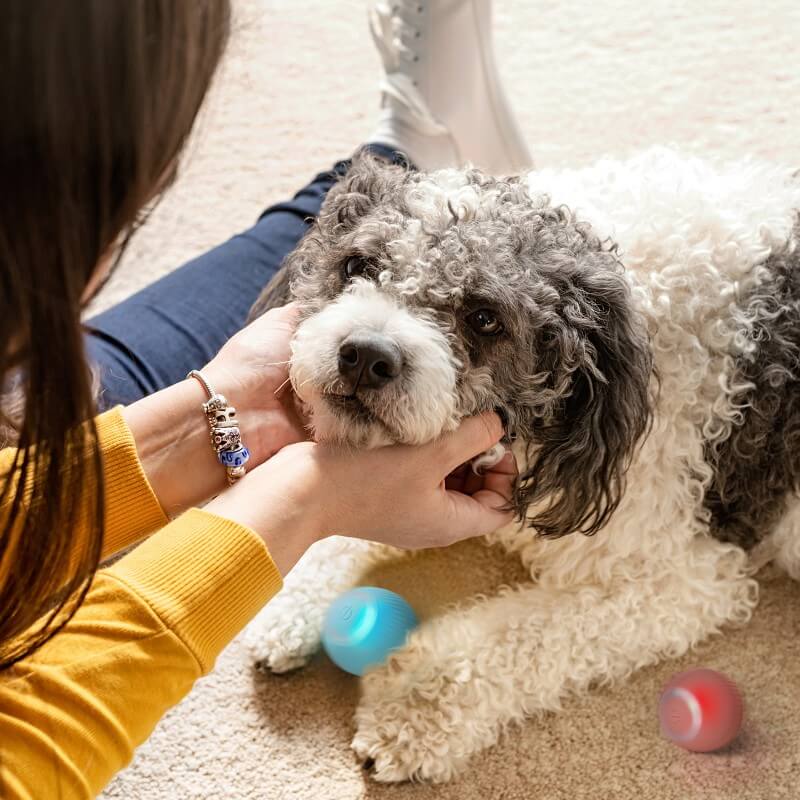 PlayPup Self-Moving Ball