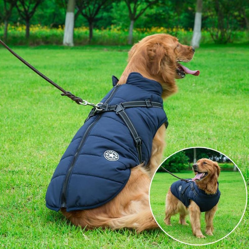 Pup Kingdom Cozy Waterproof Dog Jacket