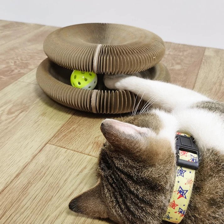 Purrin' Cat Magic Toy