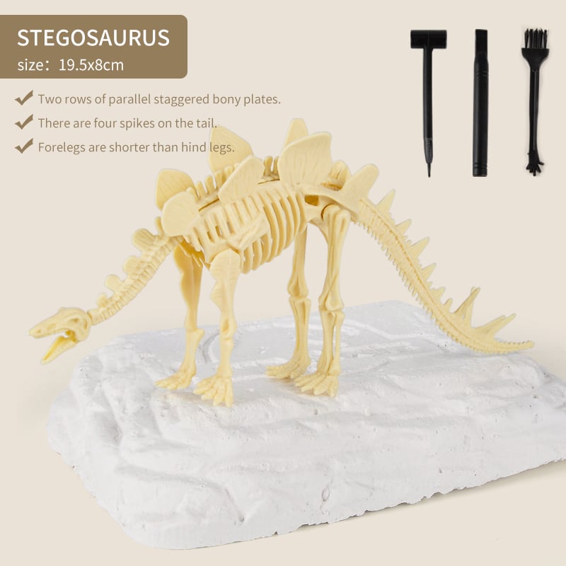 Sailorwholesale Great Educational Toy for Kids - 2022 New Arrival Dinosaur Fossil Digging Kit