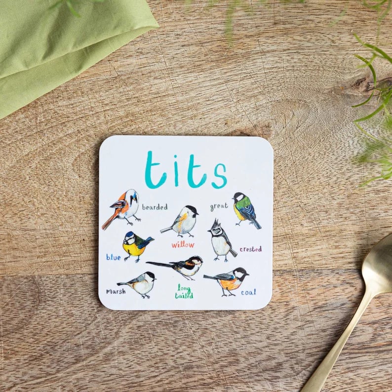 Twoldtime Set of 6 Bird Pun Coasters