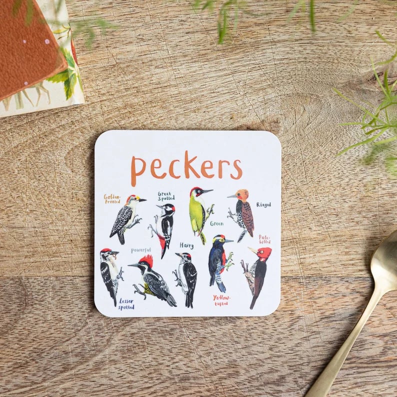 Twoldtime Set of 6 Bird Pun Coasters