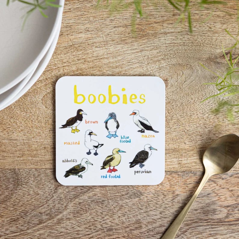 Twoldtime Set of 6 Bird Pun Coasters