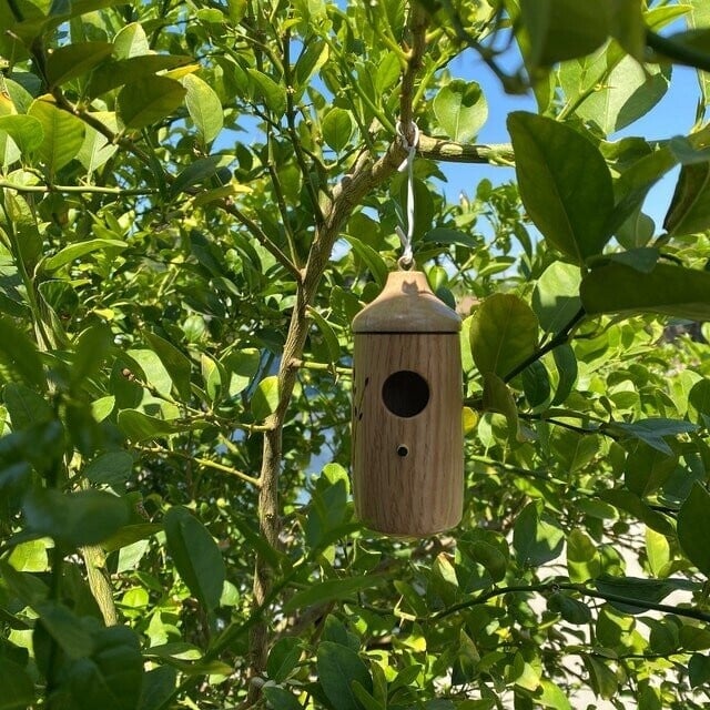 Shinemars Wooden Hummingbird House-Gift for Nature Lovers