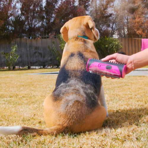 SilkyBrush™ 3 in 1 Deshedding Undercoat & Fur Brush