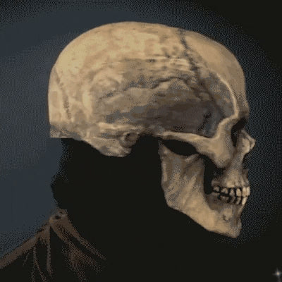 Skull Mask For Halloween